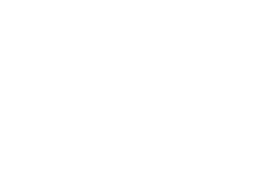 Fatal Model