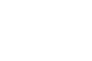 Vipal