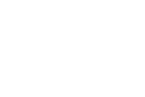 WPS